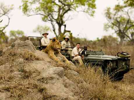 Exclusive Cape Town & Kruger Romance